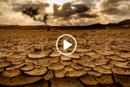 Click here if you are unable to see the image.