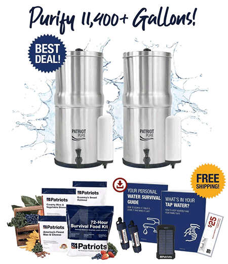 Empty Grocery Store Shelves