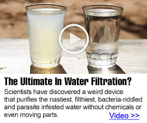 Empty Grocery Store Shelves